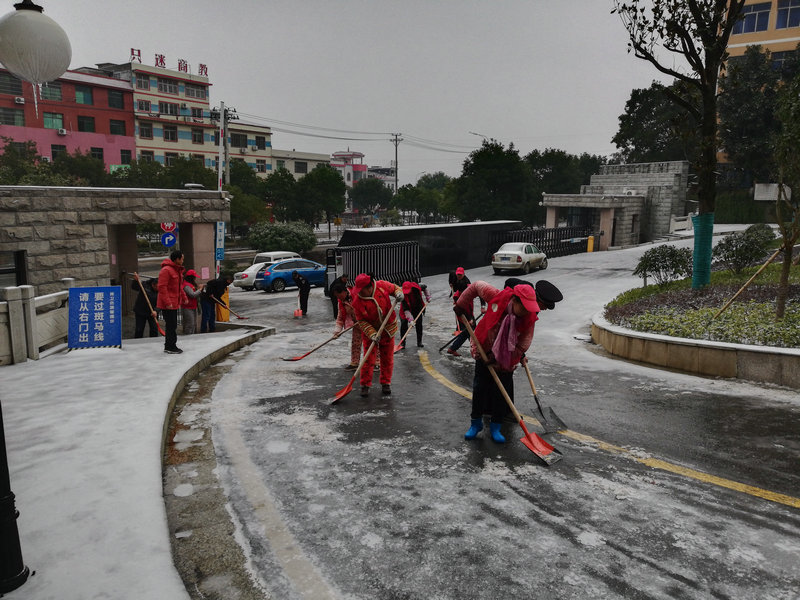 我校教職工積極開展除雪鏟冰